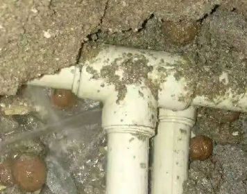 松江测漏水多少钱