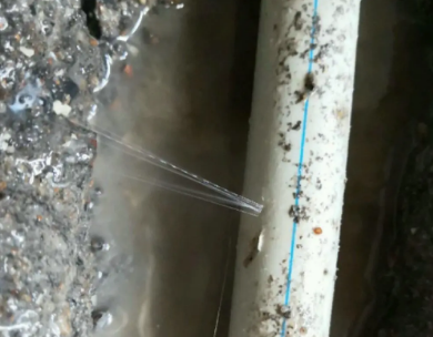 松江测漏水哪家好