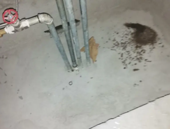 松江卫生间测漏水价格明细